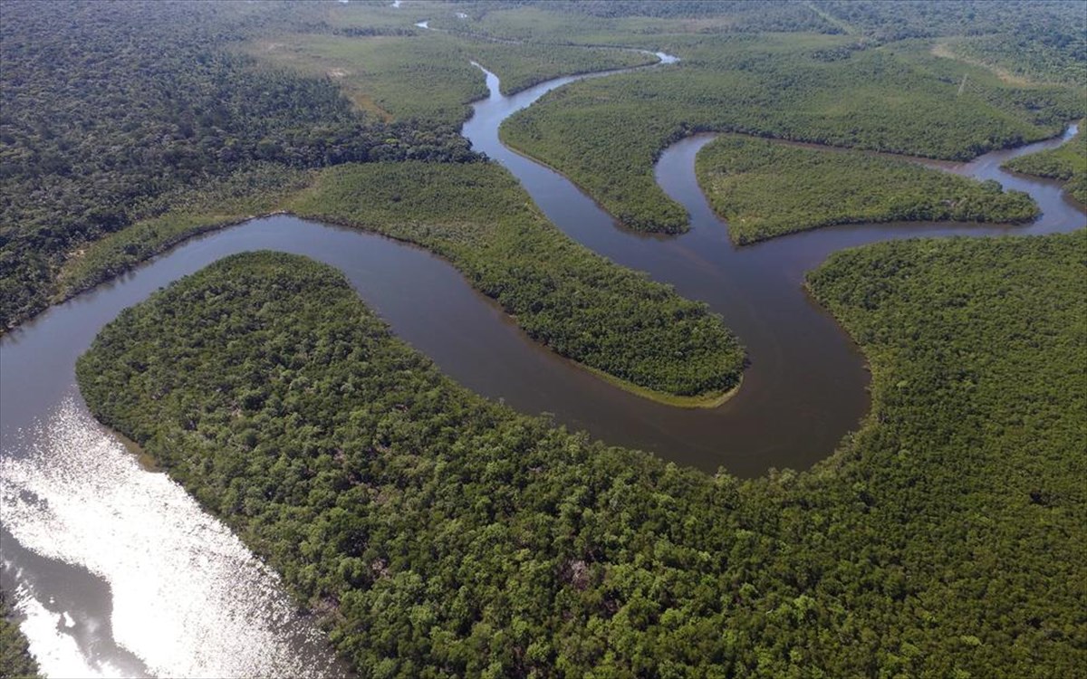 amazonios