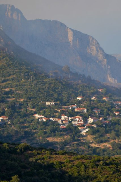 pyrkagia-eyboia-03