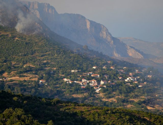 pyrkagia-eyboia-03