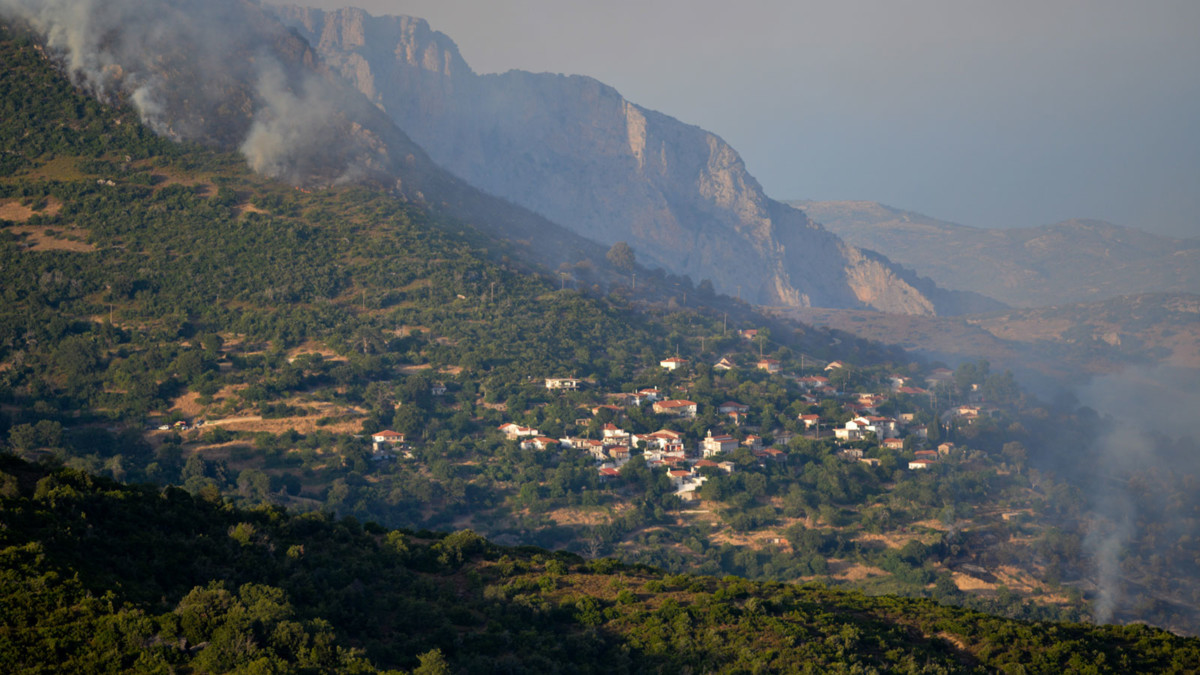 pyrkagia-eyboia-03