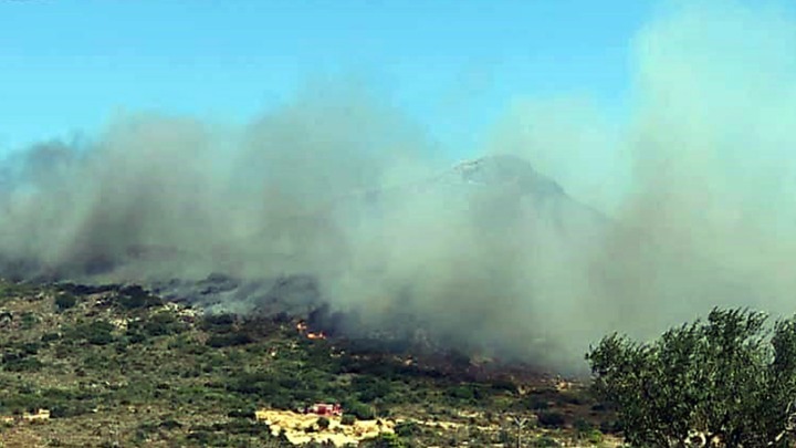 ELFA