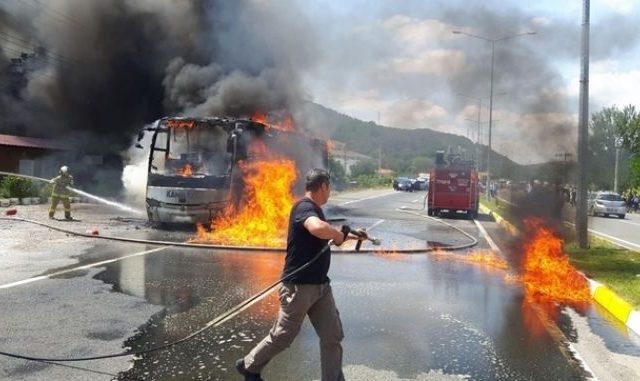 bus