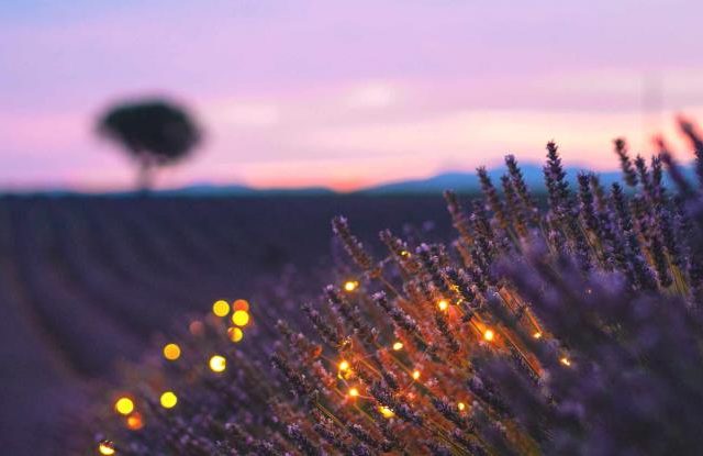 french-provence-bath-salts-aromatherapy