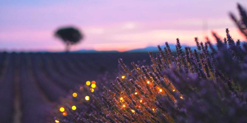 french-provence-bath-salts-aromatherapy