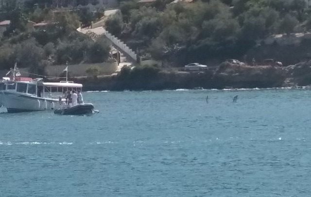 poros