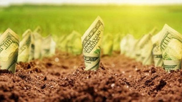 agribusiness1