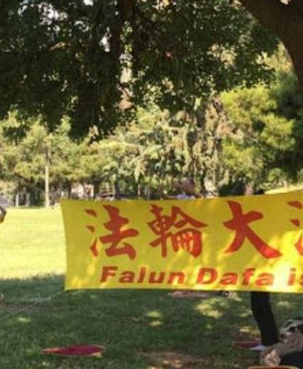falun-980