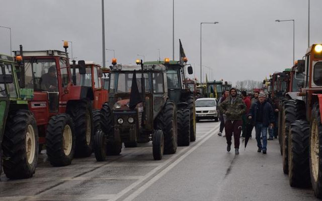 agrotes-karditsa-03