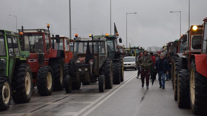 agrotes-karditsa-03