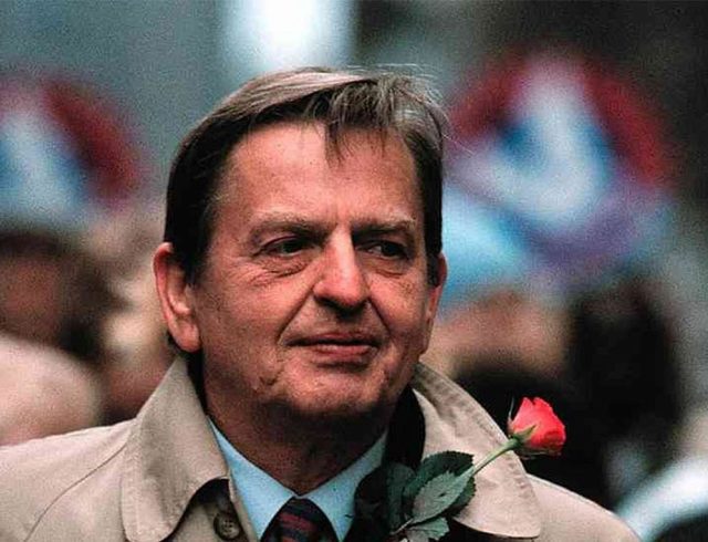 palme_252863_195319_type13262