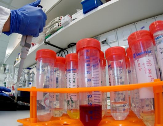 vaccine_embolio_ap_image