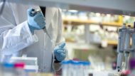 Coronavirus Lab Study 2
