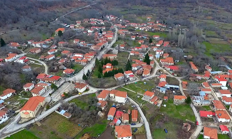 damaskinia