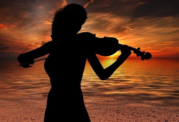 violinist-violinist-3351494_1280