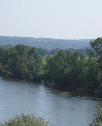 synora-evros
