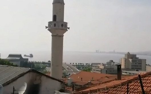 tzami1