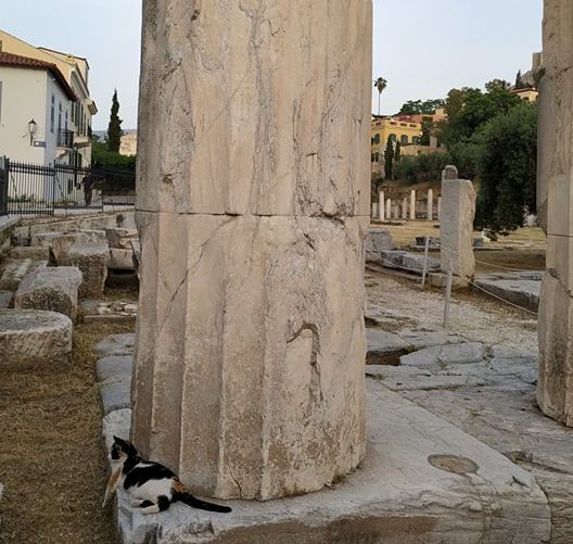 κολονα