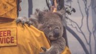 AUSTRALIA