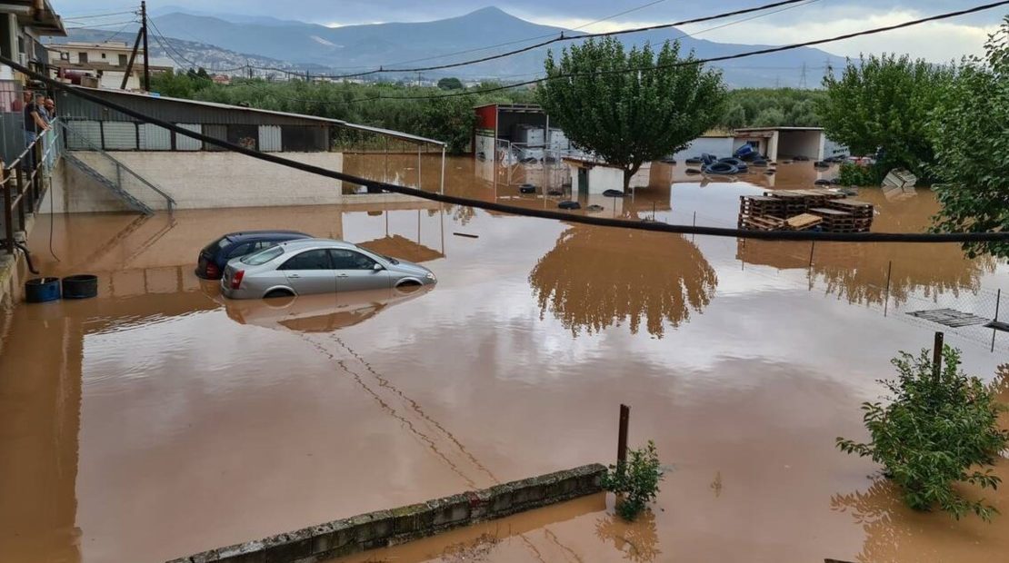 ianos-zwnari-1110×620