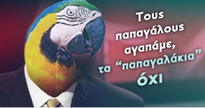 kne