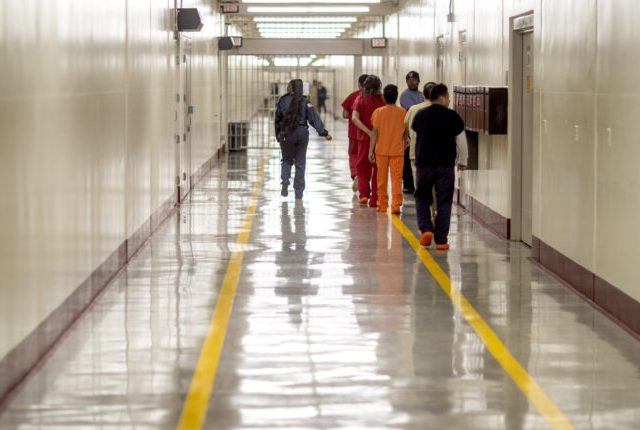 Immigration Courts