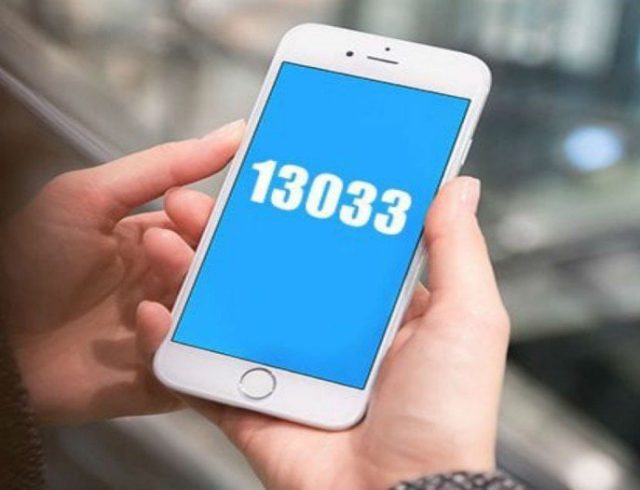 13033-1