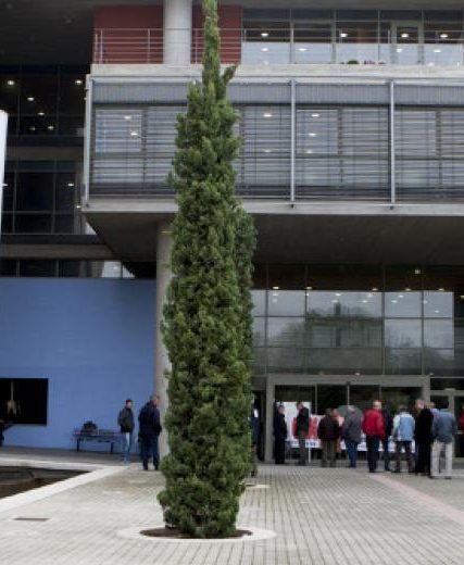 δημαρχείο θεσσαλονίκης