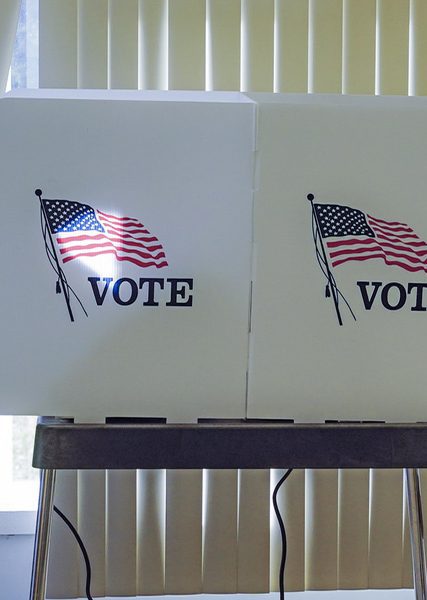 Voters turn out for early voting in the 2020 presidential election