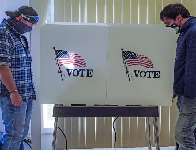 Voters turn out for early voting in the 2020 presidential election