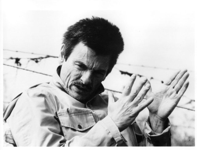andrei tarkovsky2