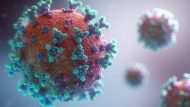 coronavirus-banner-1024×576