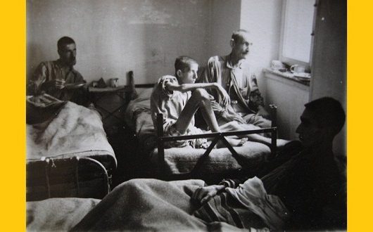 menelab