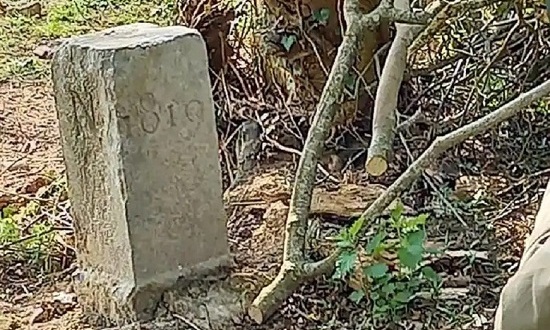 stoneb