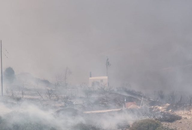 παρος