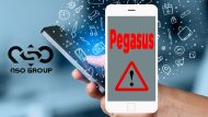 Pegasus-18072021