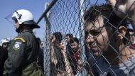 migrants