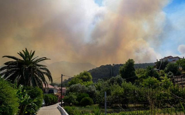 samos-fotia-14