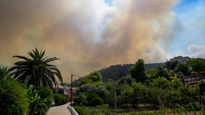 samos-fotia-14