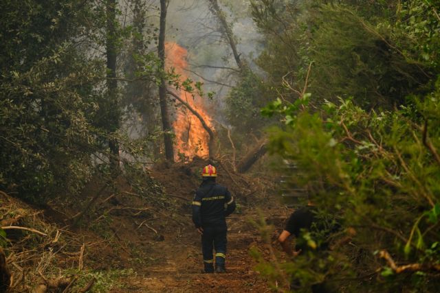 brigade; climate change; extinguish; fire; fire Department; firefighter; forest; natural disaster; pine tree; smoke; summer wildfire; wildfire; δάσος; επόμενη μέρα; καλοκαιρινές πυρκαγιές; καπνός; κατάσβεση; πέυκο; πυρκαγιά; πυροσβεστική; φυσική καταστροφή; φωτιά;