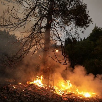 Afidnes; Attca; extinguish; natural disaster; summer wildfires; wildfire; Ανατολική Αττική; Αττική; Αφίδνες; καλοκαιρινές πυρκαγιές; κατάσβεση; πυρκαγιά; πυρκαγιές;