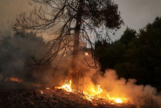 Afidnes; Attca; extinguish; natural disaster; summer wildfires; wildfire; Ανατολική Αττική; Αττική; Αφίδνες; καλοκαιρινές πυρκαγιές; κατάσβεση; πυρκαγιά; πυρκαγιές;