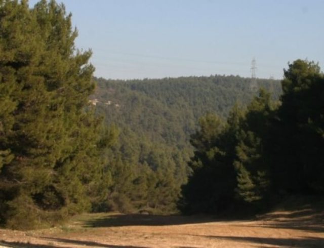 parnitha