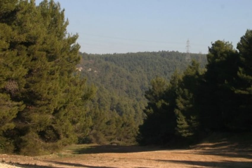 parnitha