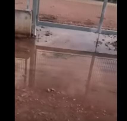 ΠΡΟΑΥΛ