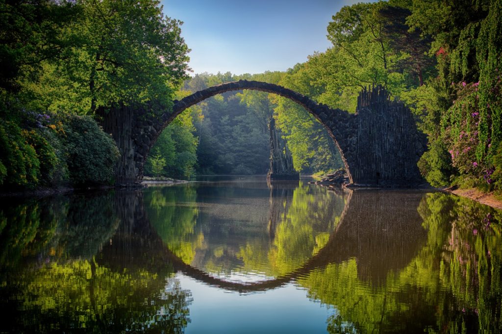 nature-1024×682-1