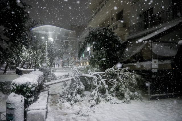 ΠΤΩΣΗ ΔΕΝΔΡΩΝ ΑΠΟ ΤΗΝ ΚΑΚΟΚΑΙΡΙΑ ΣΤΗ ΝΕΑ ΣΜΥΡΝΗ (ΓΙΩΡΓΟΣ ΚΟΝΤΑΡΙΝΗΣ/EUROKINISSI)