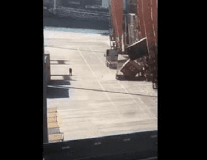 cosco2