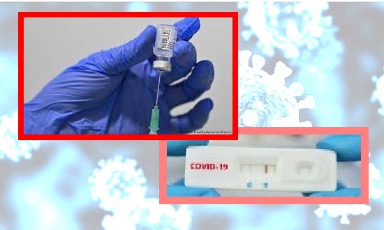 covid19βασηb