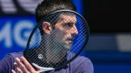 nole-2-768×480