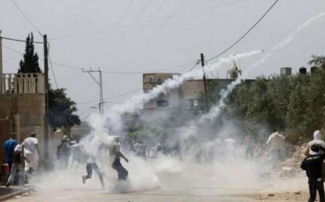 palestinian-protests